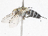  ( - CBG-A06257-D04)  @11 [ ] CreativeCommons - Attribution (2023) CBG Photography Group Centre for Biodiversity Genomics