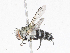  ( - CBG-A06270-G04)  @11 [ ] CreativeCommons - Attribution (2023) CBG Photography Group Centre for Biodiversity Genomics