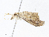  ( - CBG-A06271-C12)  @11 [ ] CreativeCommons - Attribution Share - Alike (2023) CBG Photography Group Centre for Biodiversity Genomics