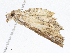  ( - CBG-A06271-D05)  @11 [ ] CreativeCommons - Attribution Share - Alike (2023) CBG Photography Group Centre for Biodiversity Genomics