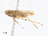  ( - CBG-A17525-H08)  @11 [ ] CreativeCommons - Attribution Share - Alike (2023) CBG Photography Group Centre for Biodiversity Genomics