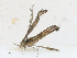  ( - CBG-A17526-C01)  @11 [ ] CreativeCommons - Attribution Share - Alike (2023) CBG Photography Group Centre for Biodiversity Genomics
