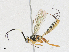  ( - CBG-A17526-E07)  @11 [ ] CreativeCommons - Attribution Share - Alike (2023) CBG Photography Group Centre for Biodiversity Genomics