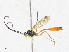  ( - CBG-A17526-H03)  @11 [ ] CreativeCommons - Attribution Share - Alike (2023) CBG Photography Group Centre for Biodiversity Genomics