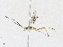  ( - CBG-A17527-A09)  @11 [ ] CreativeCommons - Attribution Share - Alike (2023) CBG Photography Group Centre for Biodiversity Genomics