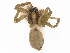  ( - CBG-A17527-H01)  @11 [ ] CreativeCommons - Attribution Share - Alike (2023) CBG Photography Group Centre for Biodiversity Genomics