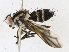  ( - CBG-A17528-A12)  @11 [ ] CreativeCommons - Attribution Share - Alike (2023) CBG Photography Group Centre for Biodiversity Genomics