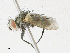  ( - CBG-A17528-E12)  @11 [ ] CreativeCommons - Attribution Share - Alike (2023) CBG Photography Group Centre for Biodiversity Genomics