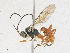  ( - CBG-A17529-G03)  @11 [ ] CreativeCommons - Attribution Share - Alike (2023) CBG Photography Group Centre for Biodiversity Genomics