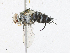  ( - CBG-A17529-H04)  @11 [ ] CreativeCommons - Attribution Share - Alike (2023) CBG Photography Group Centre for Biodiversity Genomics