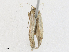  ( - CBG-A17530-B03)  @11 [ ] CreativeCommons - Attribution Share - Alike (2023) CBG Photography Group Centre for Biodiversity Genomics