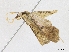  ( - CBG-A17530-C06)  @11 [ ] CreativeCommons - Attribution Share - Alike (2023) CBG Photography Group Centre for Biodiversity Genomics