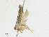  ( - CBG-A17530-C10)  @11 [ ] CreativeCommons - Attribution Share - Alike (2023) CBG Photography Group Centre for Biodiversity Genomics