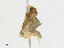  ( - CBG-A17530-D01)  @11 [ ] CreativeCommons - Attribution Share - Alike (2023) CBG Photography Group Centre for Biodiversity Genomics