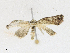 ( - CBG-A17533-D05)  @11 [ ] CreativeCommons - Attribution Share - Alike (2023) CBG Photography Group Centre for Biodiversity Genomics