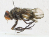  ( - CBG-A17533-E10)  @11 [ ] CreativeCommons - Attribution Share - Alike (2023) CBG Photography Group Centre for Biodiversity Genomics