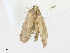  ( - CBG-A17533-F05)  @11 [ ] CreativeCommons - Attribution Share - Alike (2023) CBG Photography Group Centre for Biodiversity Genomics