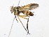  ( - CBG-A17533-H07)  @11 [ ] CreativeCommons - Attribution Share - Alike (2023) CBG Photography Group Centre for Biodiversity Genomics