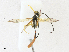  ( - CBG-A17534-D12)  @11 [ ] CreativeCommons - Attribution Share - Alike (2023) CBG Photography Group Centre for Biodiversity Genomics