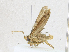  ( - CBG-A17534-F06)  @11 [ ] CreativeCommons - Attribution Share - Alike (2023) CBG Photography Group Centre for Biodiversity Genomics