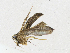  ( - CBG-A17535-B09)  @11 [ ] CreativeCommons - Attribution Share - Alike (2023) CBG Photography Group Centre for Biodiversity Genomics