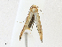  ( - CBG-A17535-C10)  @11 [ ] CreativeCommons - Attribution Share - Alike (2023) CBG Photography Group Centre for Biodiversity Genomics