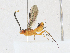  ( - CBG-A17535-D02)  @11 [ ] CreativeCommons - Attribution Share - Alike (2023) CBG Photography Group Centre for Biodiversity Genomics