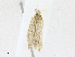  ( - CBG-A17535-D07)  @11 [ ] CreativeCommons - Attribution Share - Alike (2023) CBG Photography Group Centre for Biodiversity Genomics