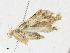  ( - CBG-A17535-D08)  @11 [ ] CreativeCommons - Attribution Share - Alike (2023) CBG Photography Group Centre for Biodiversity Genomics
