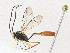  ( - CBG-A17535-D12)  @11 [ ] CreativeCommons - Attribution Share - Alike (2023) CBG Photography Group Centre for Biodiversity Genomics