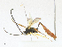  ( - CBG-A17535-G11)  @11 [ ] CreativeCommons - Attribution Share - Alike (2023) CBG Photography Group Centre for Biodiversity Genomics