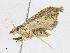  ( - CBG-A17536-A07)  @11 [ ] CreativeCommons - Attribution Share - Alike (2023) CBG Photography Group Centre for Biodiversity Genomics