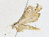  ( - CBG-A17536-C03)  @11 [ ] CreativeCommons - Attribution Share - Alike (2023) CBG Photography Group Centre for Biodiversity Genomics
