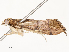  ( - CBG-A53620-A12)  @11 [ ] CreativeCommons - Attribution Share - Alike (2024) CBG Photography Group Centre for Biodiversity Genomics