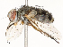  ( - CBG-A54410-G11)  @11 [ ] CreativeCommons - Attribution Share - Alike (2024) CBG Photography Group Centre for Biodiversity Genomics