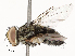  ( - CBG-A54411-F05)  @11 [ ] CreativeCommons - Attribution Share - Alike (2024) CBG Photography Group Centre for Biodiversity Genomics