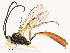  ( - CBG-A54413-B05)  @11 [ ] CreativeCommons - Attribution Share - Alike (2024) CBG Photography Group Centre for Biodiversity Genomics