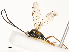  ( - CBG-A54413-E08)  @11 [ ] CreativeCommons - Attribution Share - Alike (2024) CBG Photography Group Centre for Biodiversity Genomics