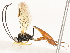  ( - CBG-A54413-E10)  @11 [ ] CreativeCommons - Attribution Share - Alike (2024) CBG Photography Group Centre for Biodiversity Genomics