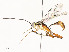  ( - CBG-A54450-C06)  @11 [ ] CreativeCommons - Attribution Share - Alike (2024) CBG Photography Group Centre for Biodiversity Genomics