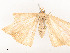  ( - CBG-A54450-F02)  @11 [ ] CreativeCommons - Attribution Share - Alike (2024) CBG Photography Group Centre for Biodiversity Genomics