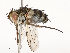  ( - CBG-A58569-E11)  @11 [ ] CreativeCommons - Attribution Share - Alike (2024) CBG Photography Group Centre for Biodiversity Genomics