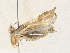  ( - CBG-A33465-A03)  @11 [ ] CreativeCommons - Attribution Share - Alike (2024) CBG Photography Group Centre for Biodiversity Genomics