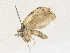  ( - CBG-A33465-A05)  @11 [ ] CreativeCommons - Attribution Share - Alike (2024) CBG Photography Group Centre for Biodiversity Genomics