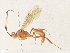  ( - CBG-A33465-E06)  @11 [ ] CreativeCommons - Attribution Share - Alike (2024) CBG Photography Group Centre for Biodiversity Genomics