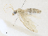  ( - CBG-A33468-F08)  @11 [ ] CreativeCommons - Attribution Share - Alike (2024) CBG Photography Group Centre for Biodiversity Genomics