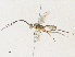  ( - CBG-A34313-D08)  @11 [ ] CreativeCommons - Attribution Share - Alike (2024) CBG Photography Group Centre for Biodiversity Genomics