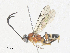  ( - CBG-A34313-G01)  @11 [ ] CreativeCommons - Attribution Share - Alike (2024) CBG Photography Group Centre for Biodiversity Genomics