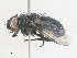  ( - CBG-A34314-B11)  @11 [ ] CreativeCommons - Attribution Share - Alike (2024) CBG Photography Group Centre for Biodiversity Genomics