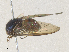  ( - CBG-A35183-F03)  @11 [ ] CreativeCommons - Attribution Share - Alike (2024) CBG Photography Group Centre for Biodiversity Genomics